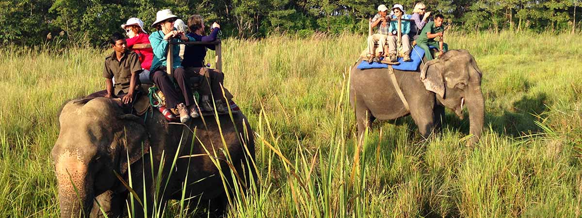 Elephant Safari Booking